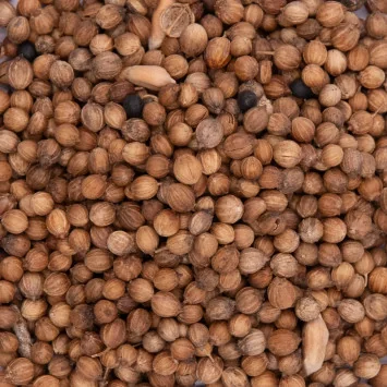 Organic Coriander Seeds - Whole Seeds from Provence