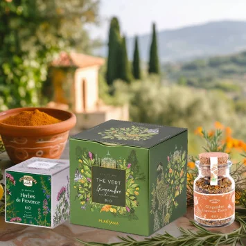 Coffret Gingembre & Garrigue Bio Thé vert, épices -Herbes