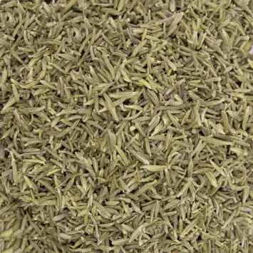Thym Bio Sud de France – Pot végétal 14 g
