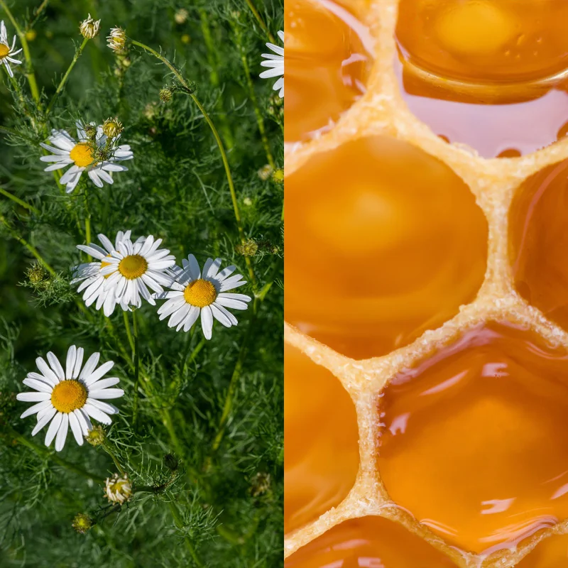 Organic French Chamomile & Honey Herbal Tea – 18 Tea Bags