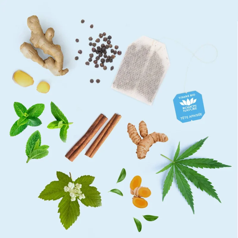 Tisane Tête Apaisée Bio* au Chanvre – 20 sachets