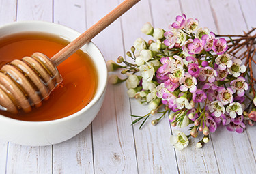                                                 Floral Honey
                                            