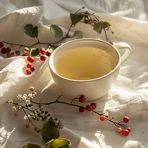 French Herbalism, Rooted in the Terroir