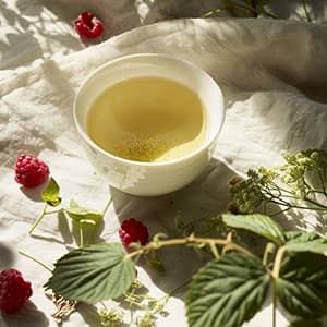 French herbalism, rooted in the terroir 