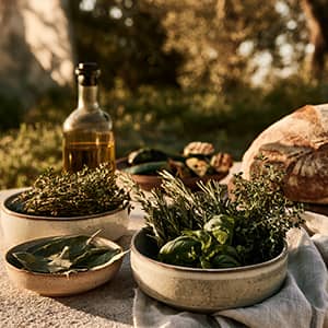 French herbalism, rooted in the terroir