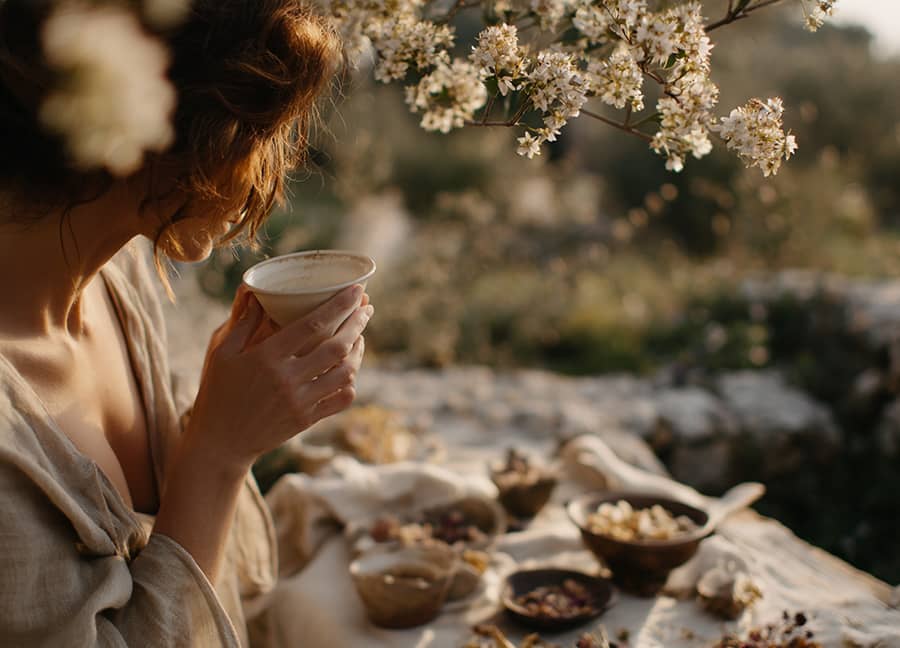 French herbalism, rooted in the terroir