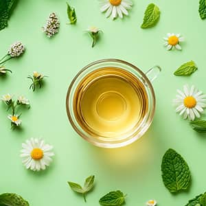 French herbal tradition, rooted in the terroir