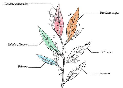 Organic Camargue fine salt with vegetables - 90g - Image description