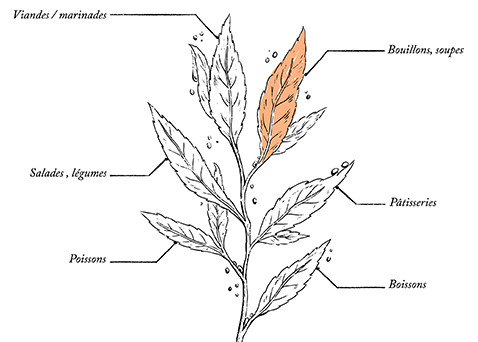 Organic Garnished Bouquet - 12g - Image description