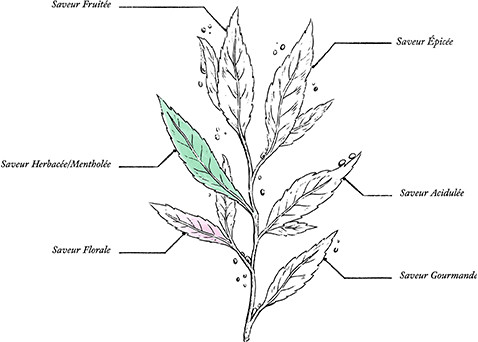 Infusion Relax Bio * CBD - Image description