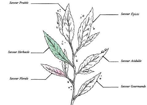 Organic Stress Herbal Tea* - Image description