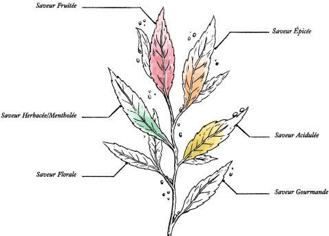 Infusion de Noël à la Pomme et aux Epices Bio* - Image description