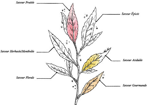 Organic Hibiscus Strawberry – 100g | Fruity Infusion Lay Up / Loose Leaf - Image description