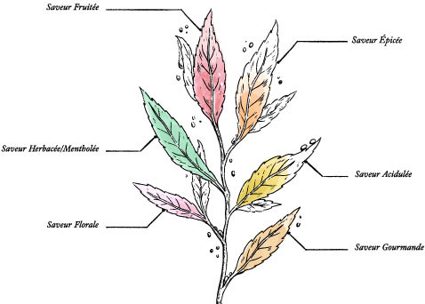 Calendrier de l’Avent 24 Infusions Bio* Carrousel - Image description