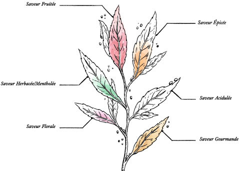 Boule de Noël - Tisane Féérique de Noël Bio* – Coffret unitaire - Image description
