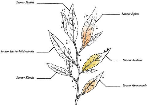 Magical Organic Christmas Tea – Hanging Ornament Box - Image description