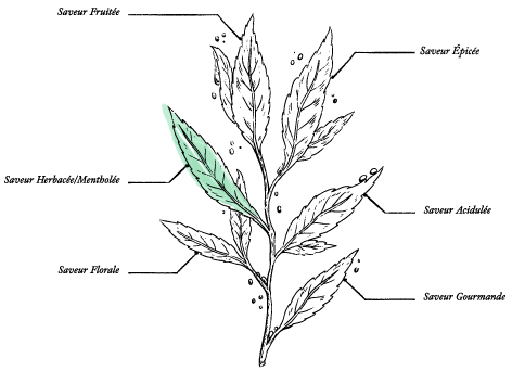 Organic Hemp Leaves - Bulk Pack 30g - Image description