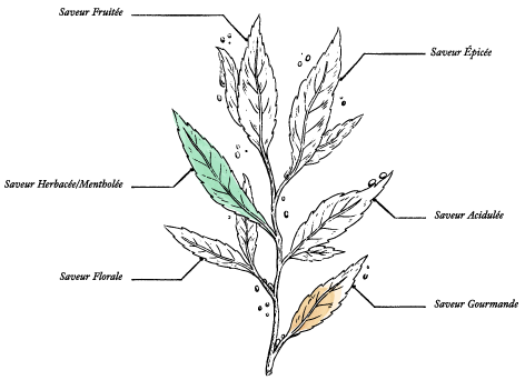 Organic Greece Thyme Honey* 220g Jar - Image description