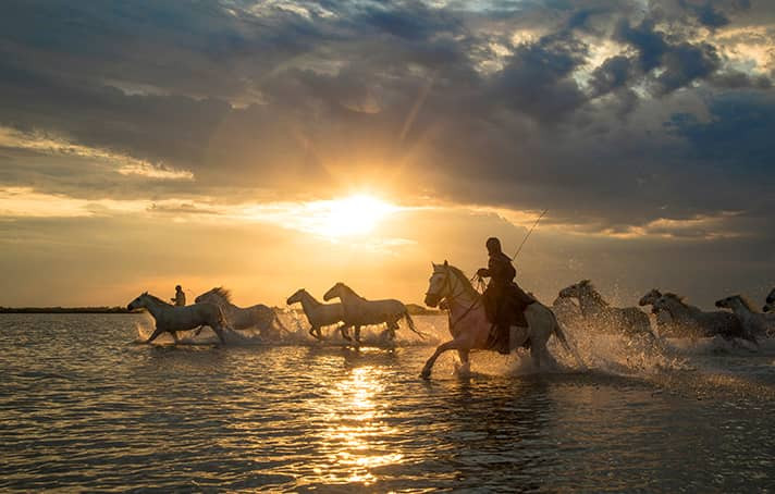 Journey Through the Camargue: Arles, Aigues-Mortes & Le Grau-du-Roi