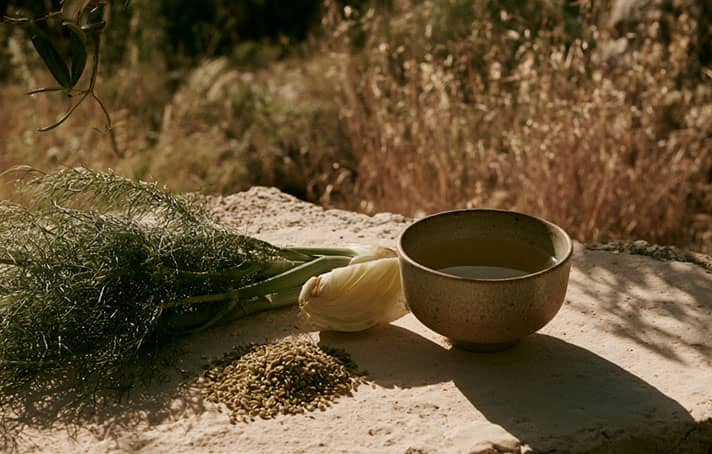 Bienfaits du fenouil en infusion : digestion, préparation et recette