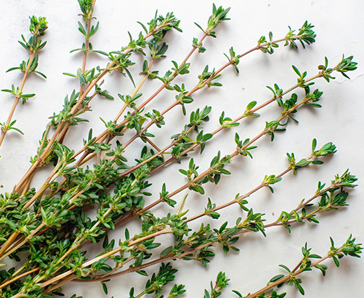 The Benefits of Thyme Infusion: A Natural Treasure 100% Made in France