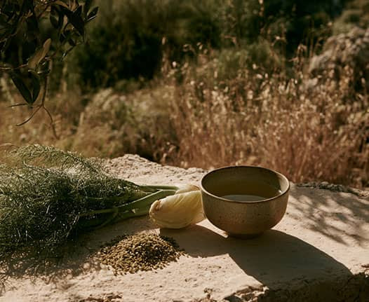 Fennel Tea Benefits: Digestion, Preparation and Recipe