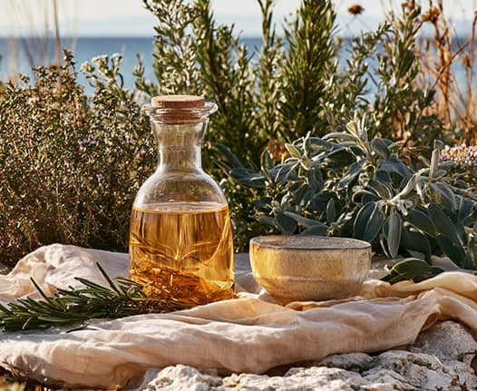 Mediterranean plants: benefits as infusions and summer ideas