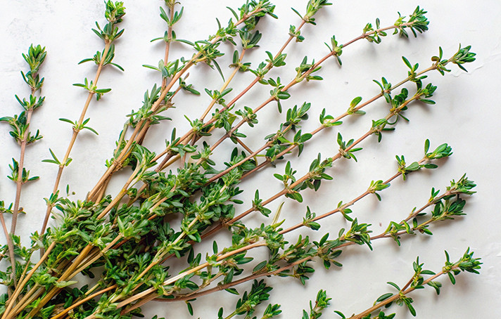 Les Vertus du Thym – Un Trésor pour Votre Santé